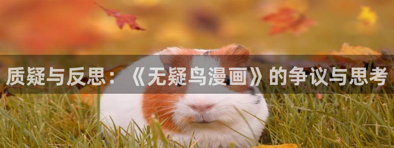 51漫画网免费阅读