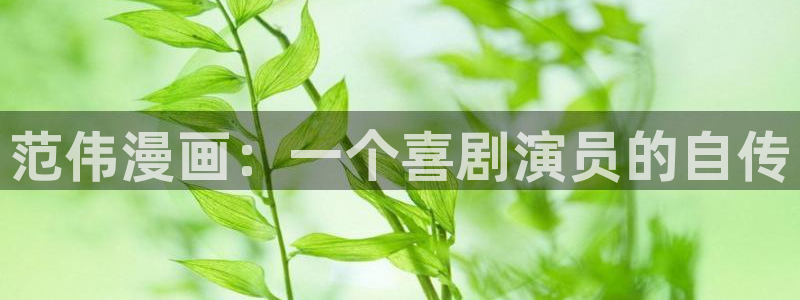 51漫画漫画在线观看页面免费漫画入口：范伟漫画：一个喜剧演员的自传