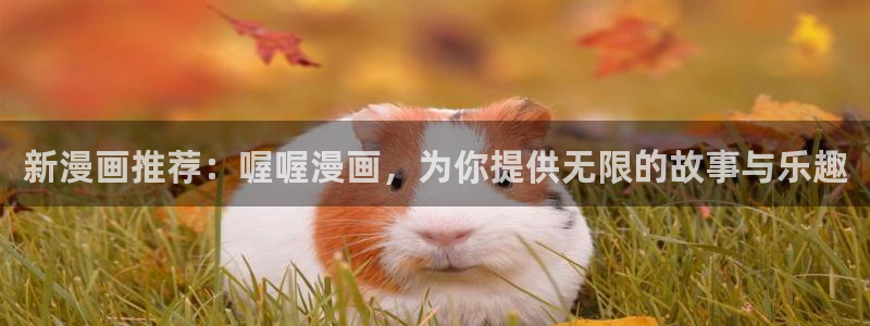 哪里可以看51漫画免费漫画软件：新漫画推荐：喔喔漫画，为你提供无限的故事与乐趣