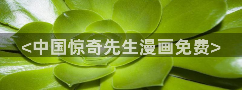 51漫画免费无删减观看：<中国惊奇先生漫画免费>
