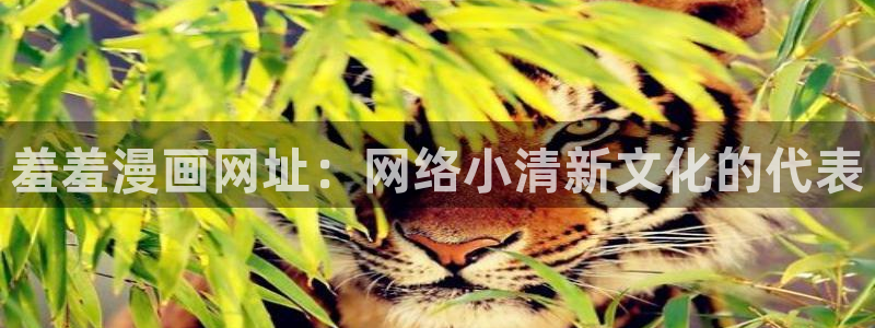 哪里可以看免费51漫画：羞羞漫画网址：网络小清新文化的代表