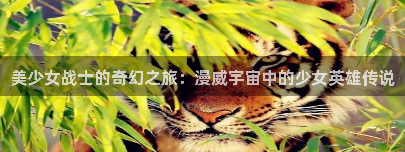 免费51漫画网址：美少女战士的奇幻之旅：漫威宇宙中的少女英雄传说