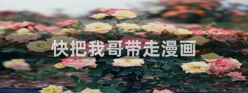 51漫画画免费全集(下拉式)：快把我哥带走漫画