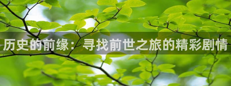 51漫画画免费版在线阅读：历史的前缘：寻找前世之旅的精彩剧情