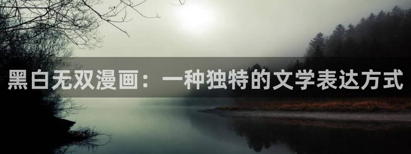 51漫画画免费大全：黑白无双漫画：一种独特的文学表达方式