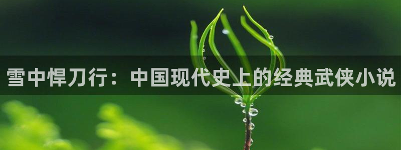 51漫画画免费软件大全：雪中悍刀行：中国现代史上的经典武侠小说