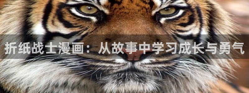 1851漫画免费看：折纸战士漫画：从故事中学习成长与勇气