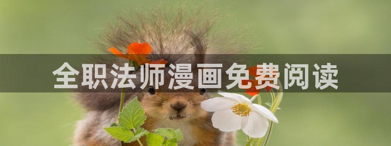 51漫画的网页：全职法师漫画免费阅读
